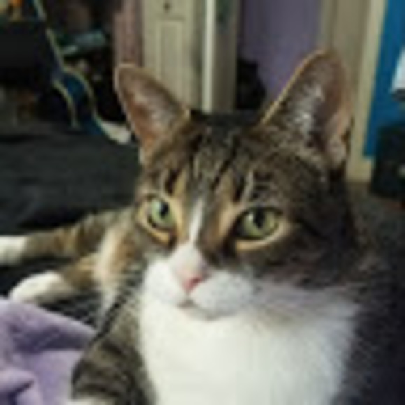 Meet your Posher, Julia - Picture 1 of 1